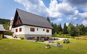 Green Lakes House 2